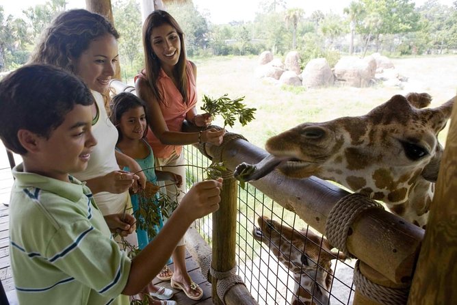 Wild life Oasis Park